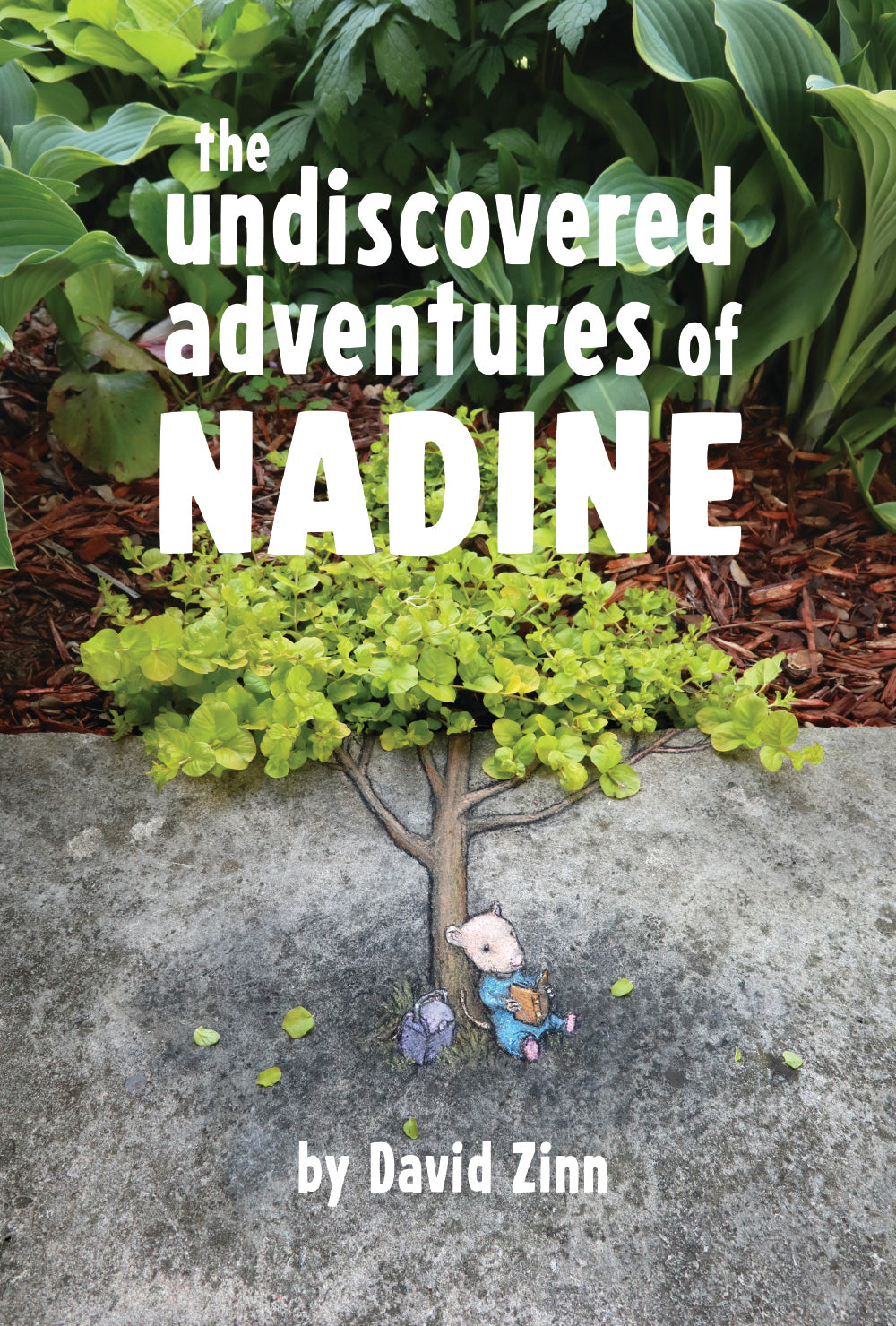 NEW! The Undiscovered Adventures of Nadine (limited edition)