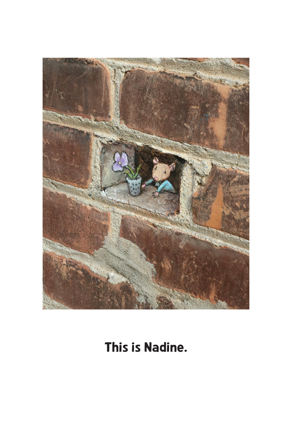 NEW! The Undiscovered Adventures of Nadine (limited edition)