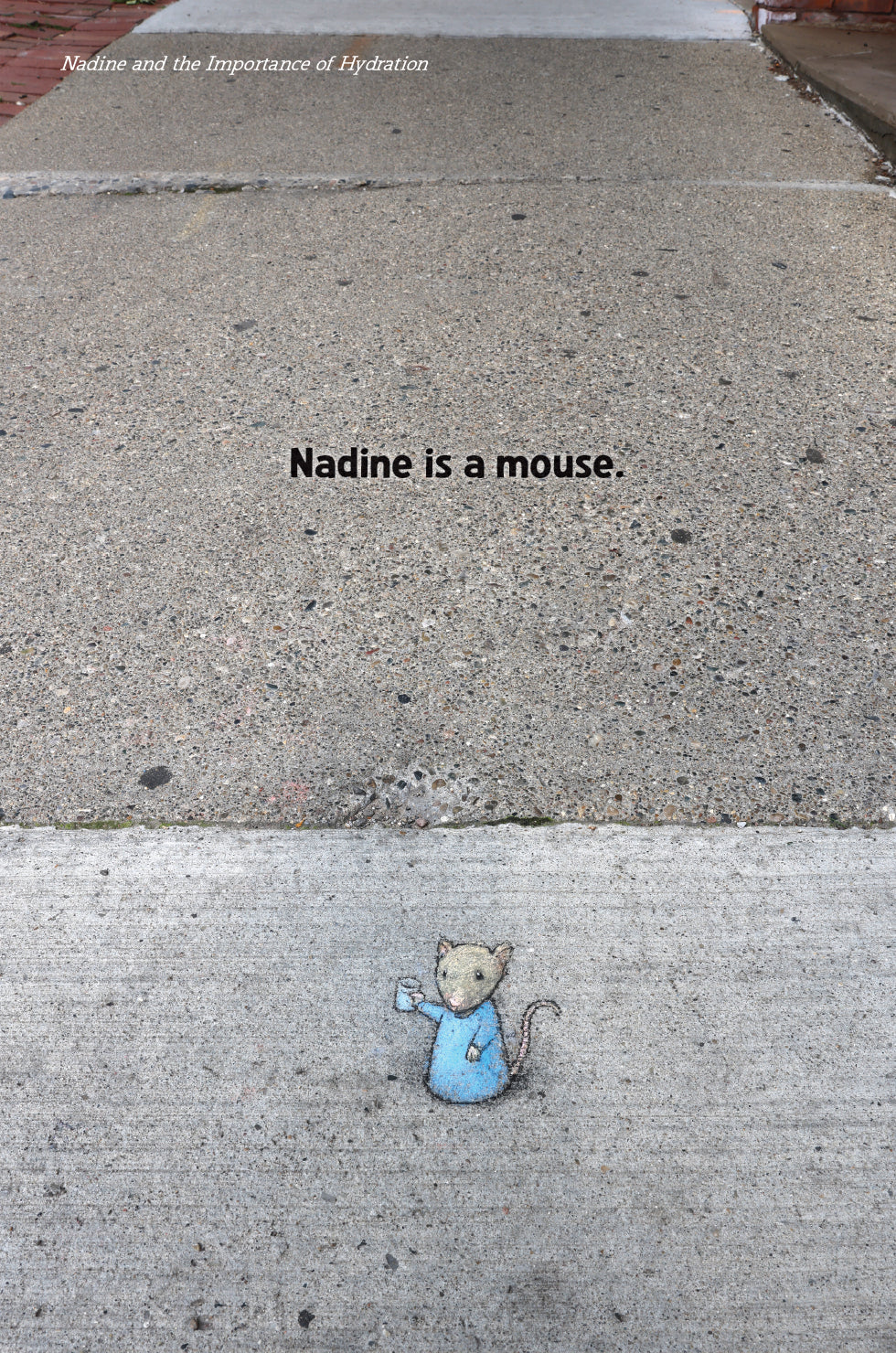 NEW! The Undiscovered Adventures of Nadine (limited edition)