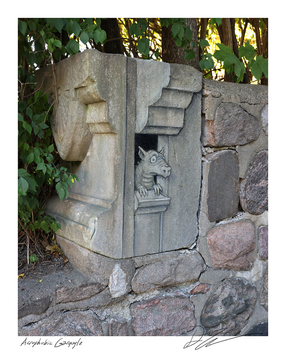 "Acrophobic Gargoyle" print