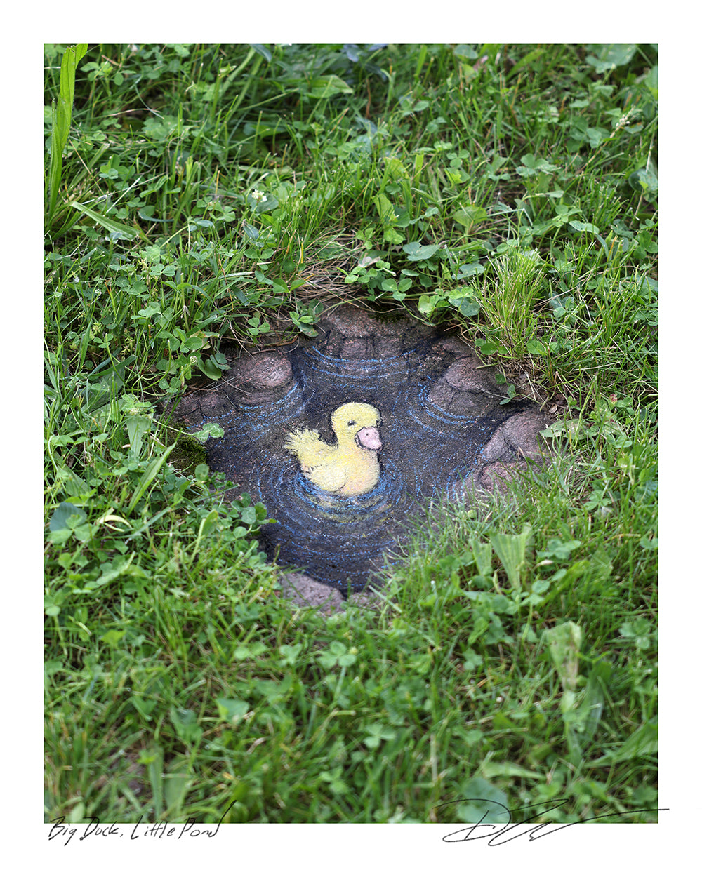 "Big Duck, Little Pond" print