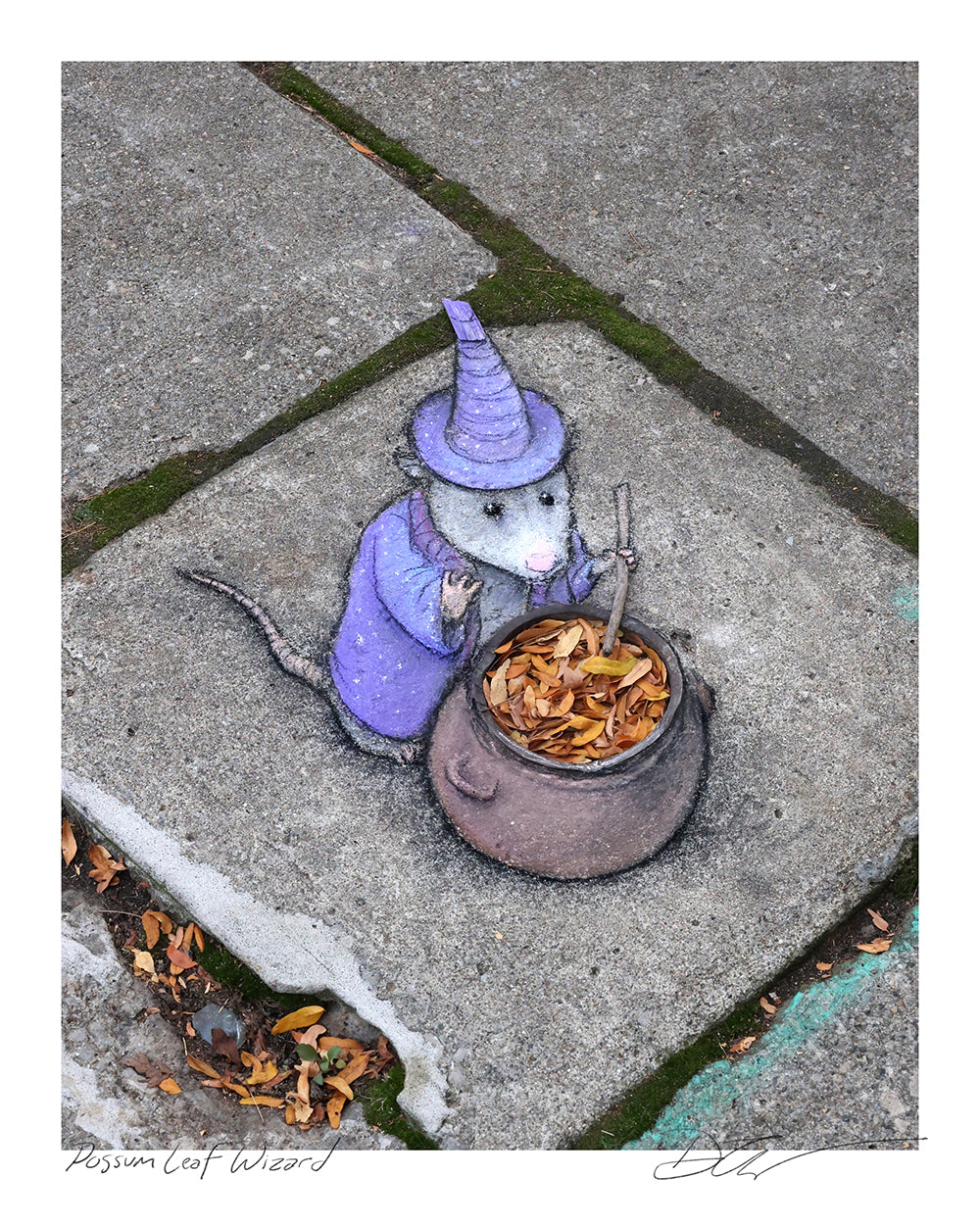 "Possum Leaf Wizard" print