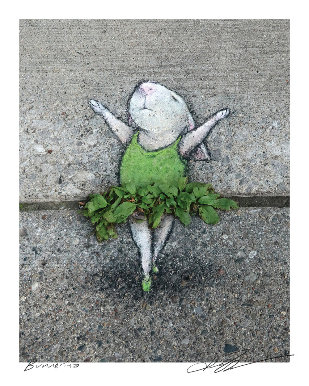 "Bunnerina" print