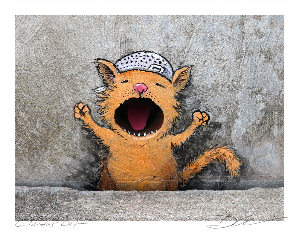 "Colander Cat" print