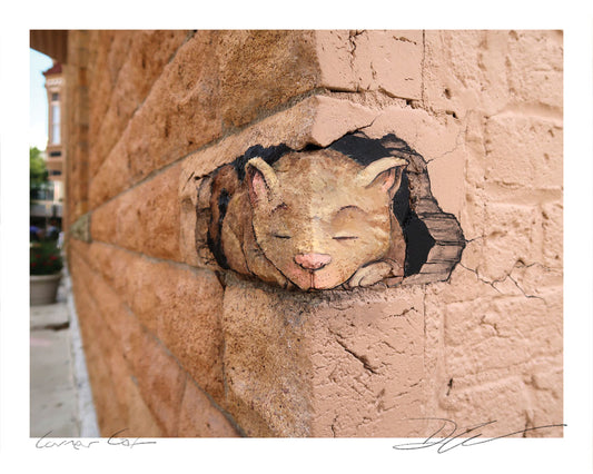 "Corner Cat" print