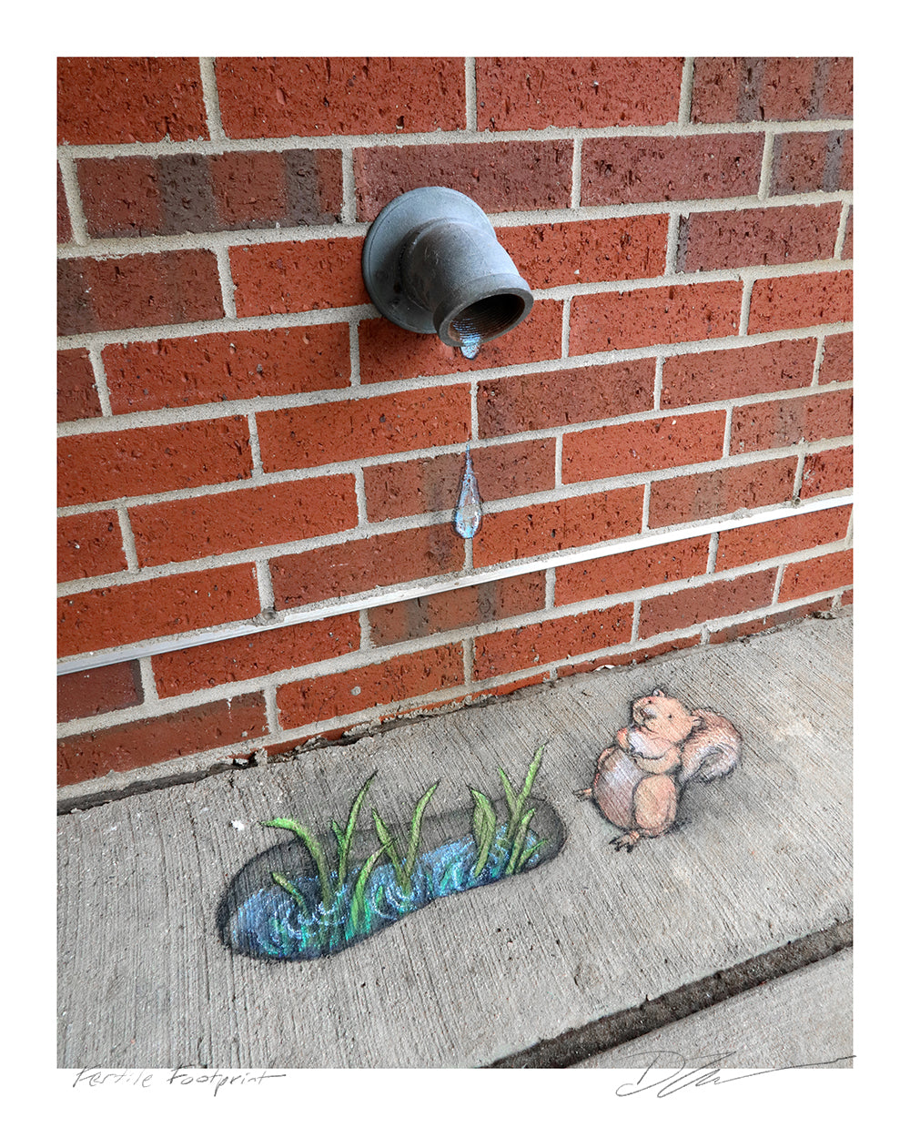 "Fertile Footprint" print