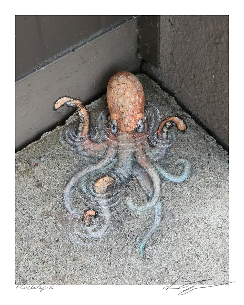 "Rocktopus" print