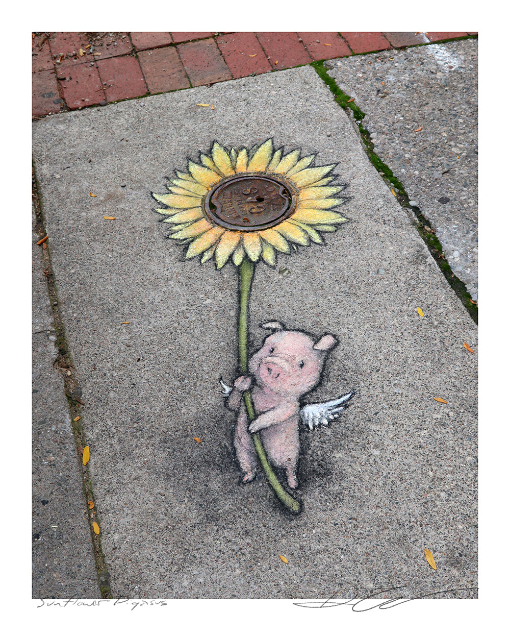 "Sunflower Pigasus" print