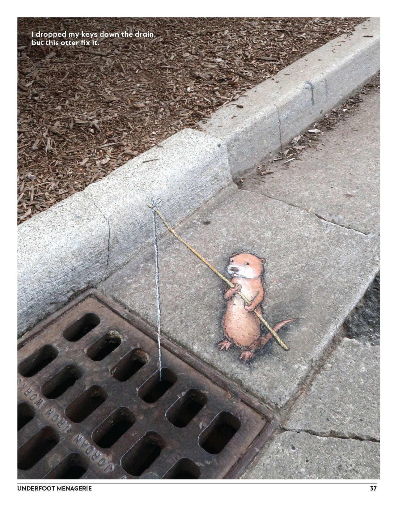 Underfoot Menagerie: More Street Art by David Zinn