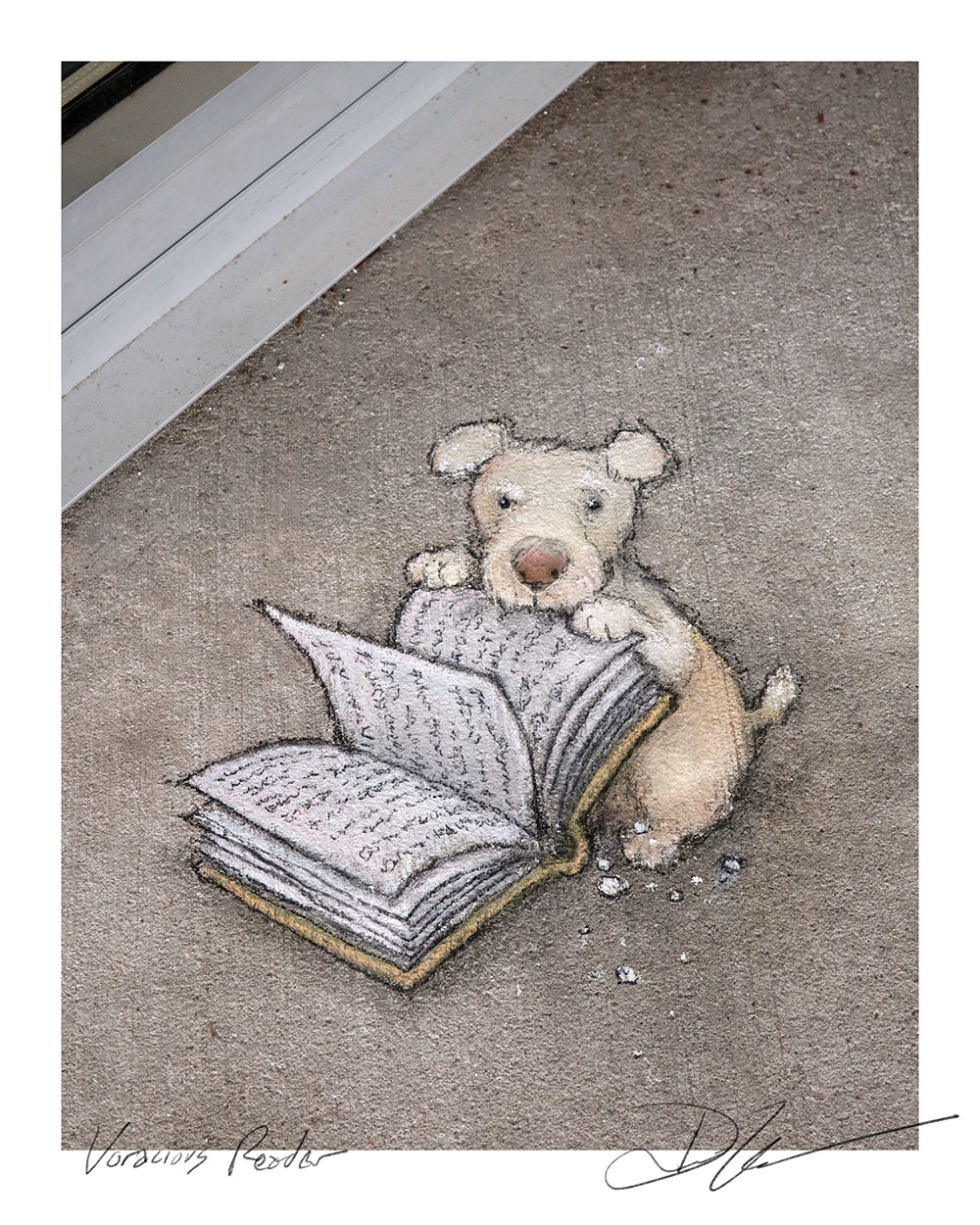 "Voracious Reader" print