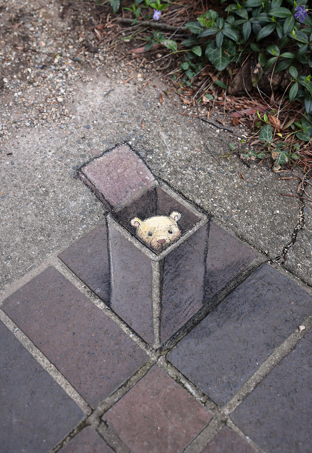 Henry would like to know if you happen to be carrying a very small ladder.