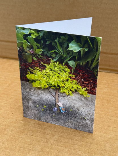 Nadine assortment of note cards