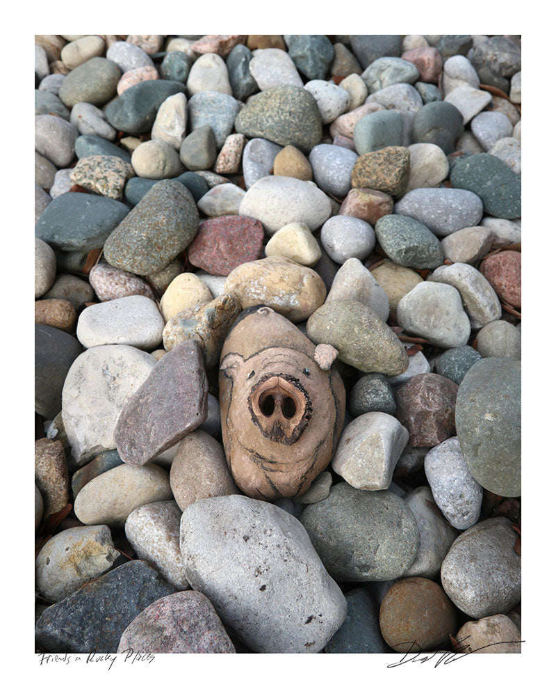 "Friends in Rocky Places" print
