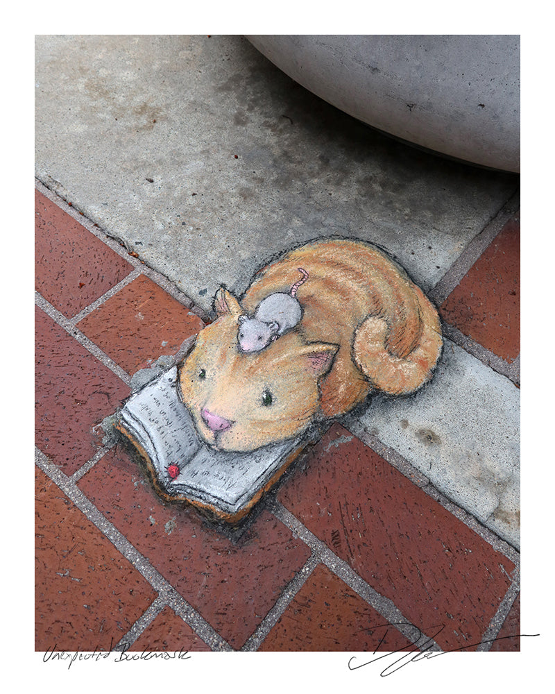 "Unexpected Bookmark" print